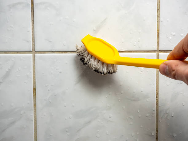 Best Local Mold Removal Service  in Forsyth, MO