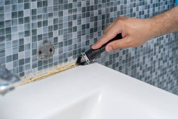 Best Fast Mold Removal  in Forsyth, MO