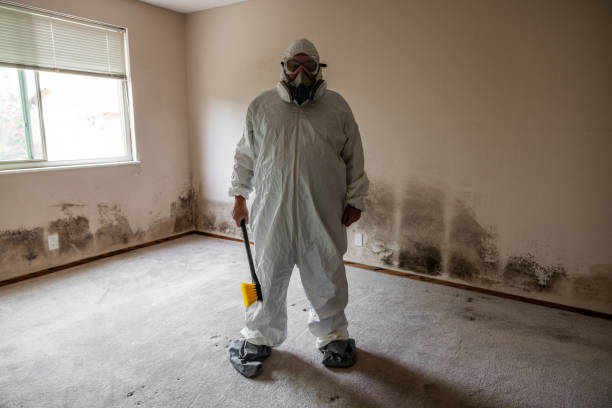 Best Mold Testing  in Forsyth, MO